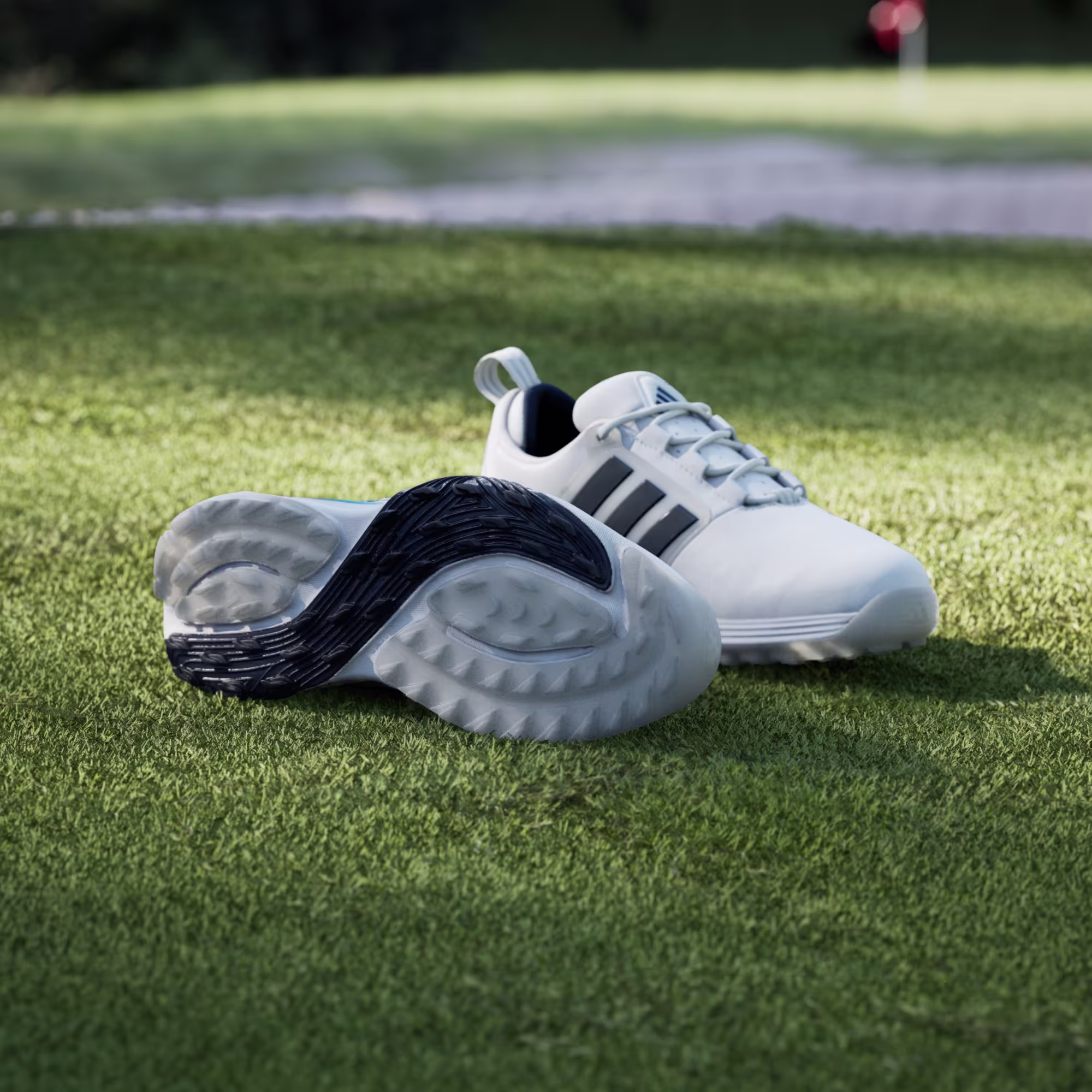 Adidas ADIPOWER 26 SL WD Golfschuhe für Herren Weiß/Navy – Bild 2